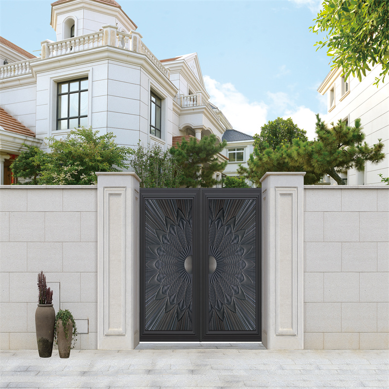 Aluminum Art Door