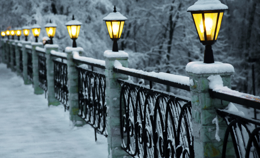 Wrought Iron Fence